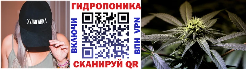 Магазин наркотиков Николаевск-на-Амуре Кокаин  МЕФ  СК  Конопля  Псилоцибиновые грибы  КЕТАМИН  Гашиш 