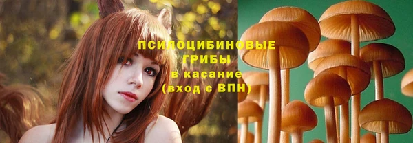ECSTASY Абинск