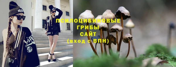 ECSTASY Абинск