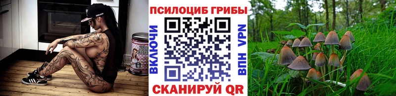 купить наркоту Николаевск-на-Амуре Галлюциногенные грибы Cubensis